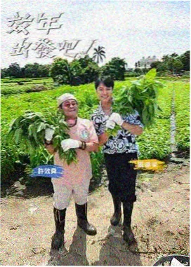 布丁漫画编辑推荐《琥珀夏天》